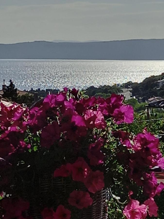 Garfild Guest House Novi Vinodolski Dış mekan fotoğraf